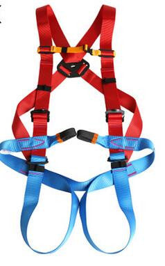 High Altitude Full Body Safety Belt