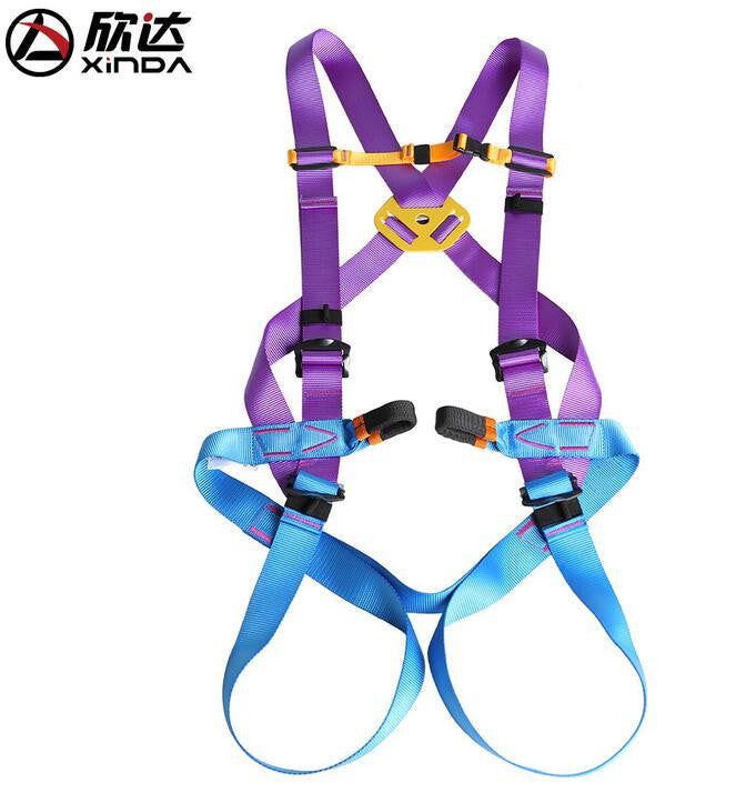 High Altitude Full Body Safety Belt